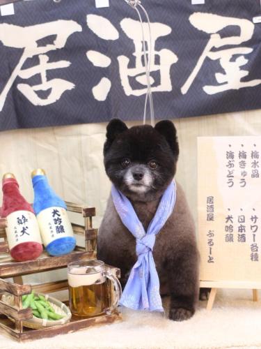 20240605れおくん